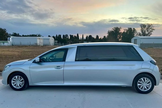 Фото: Daily Motor