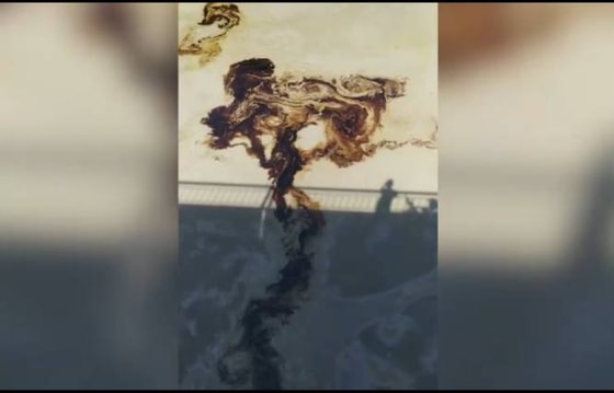 Кадр из видео.