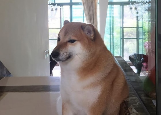 Фото: Открытые источники