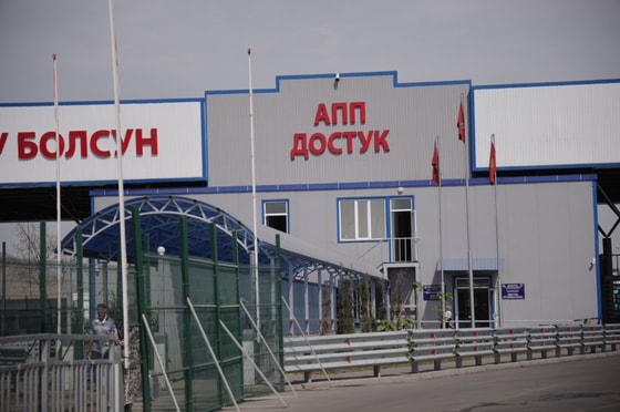 Фото: Kaktus Media