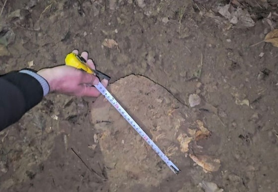 Фото: Управление экологии Кашкадарьинской области