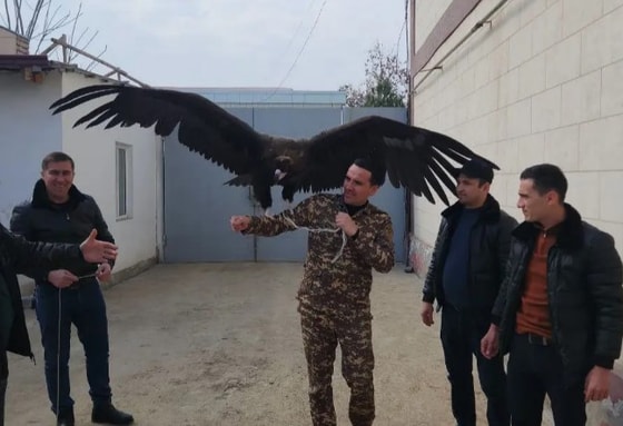 Фото: Минэкологии