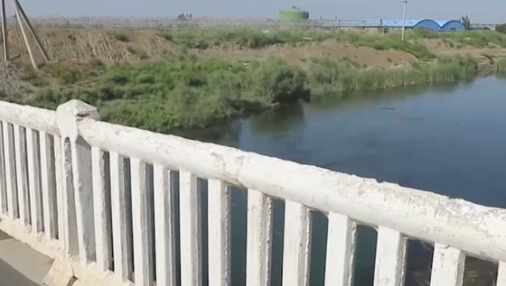 Кадр из видео