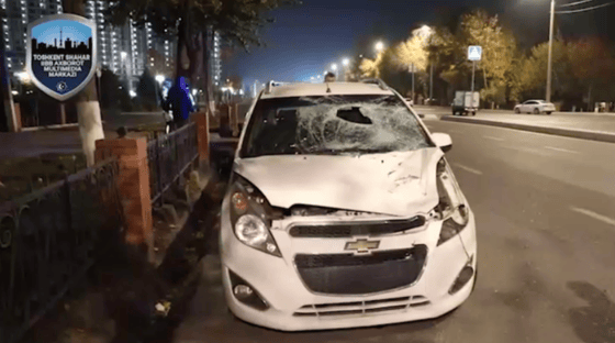 Кадр из видео