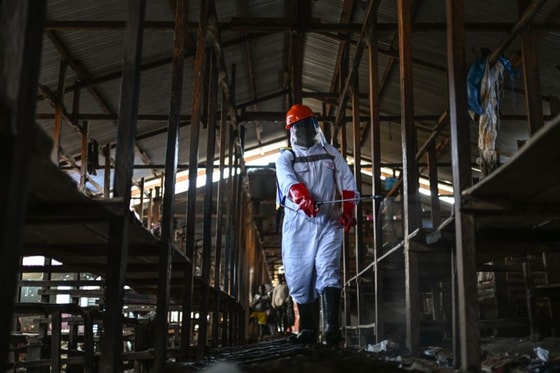 Фото: AP