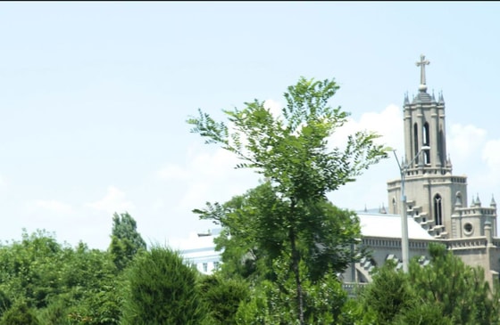 Фото: Repost&nbsp;