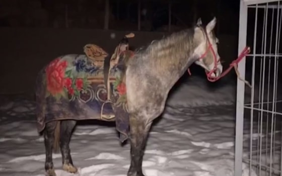 Кадр из видео