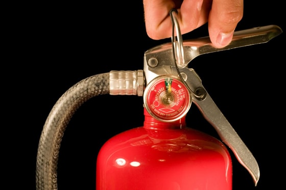 Ситуативное фото / Открытые источники