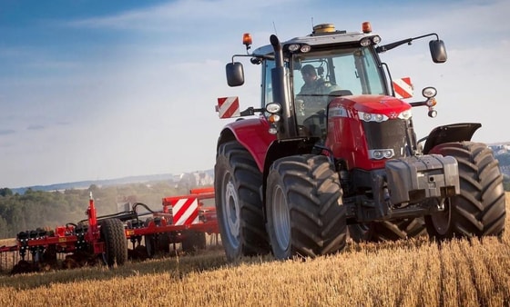 Ситуативное фото /&nbsp;1nsk.ru