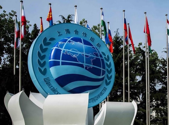 Фото: Открытые источники