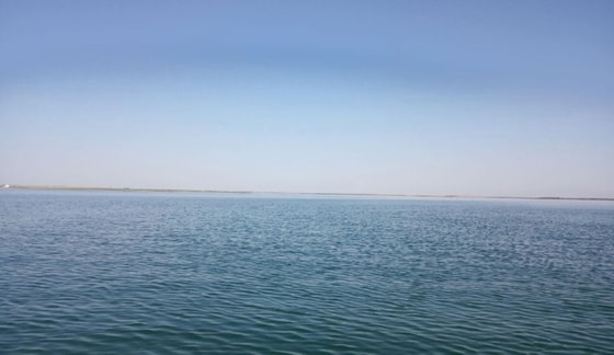 Фото: Samcity.uz