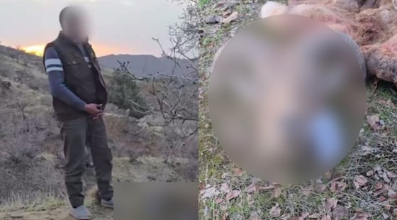 Кадры из видео