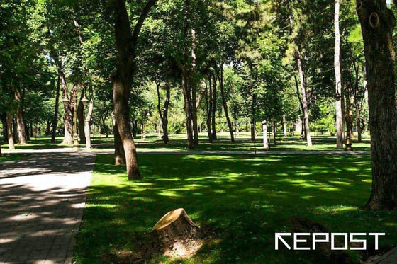 Фото: Repost&nbsp;