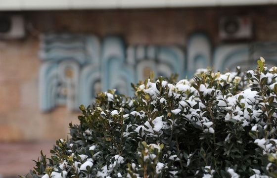 Фото: TezNews&nbsp;