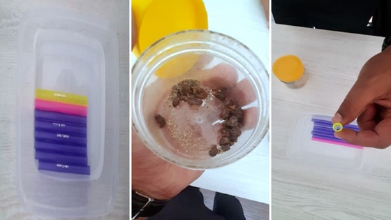 На фотографии измельченный корень&nbsp;Читтигуля и трубки, через которые лекарство вдували в рот пациентам / УВД Ташкентской области