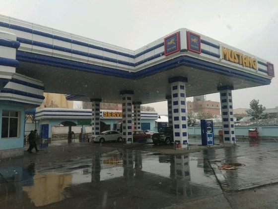 Фото: Яндекс