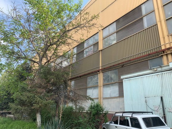 Фото: e-auksion.uz