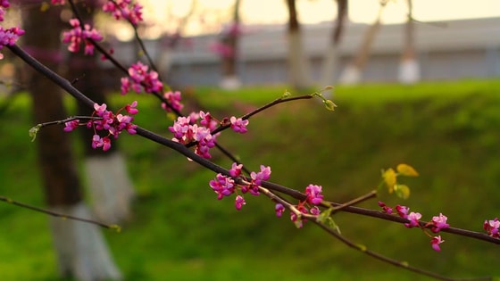 Фото:&nbsp;Анна Тушевская