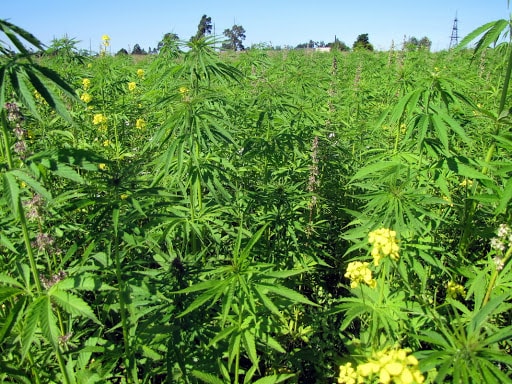 Фото: fotokto.ru