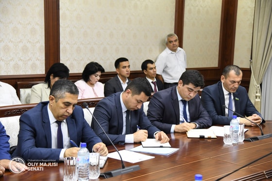 Фото: Пресс-служба Сената