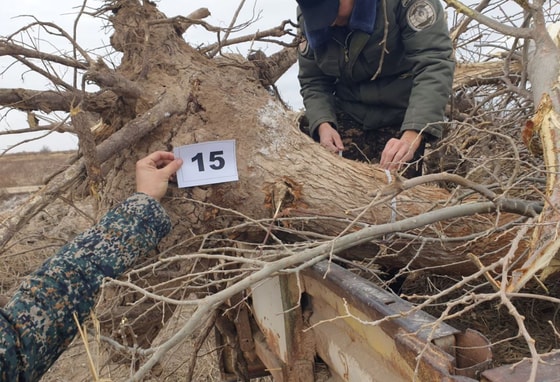 Фото: Управление экологии Хорезмской области