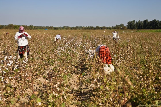 Фото:&nbsp;chert-poberi.ru