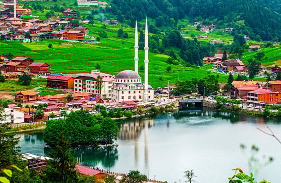 Фото: Открытые источники