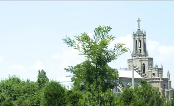 Фото: Repost&nbsp;