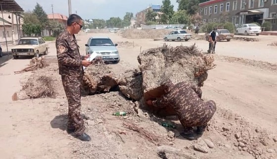 Фото: Управление экологии Сурхандарьинской области