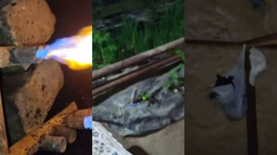 Кадры из видео