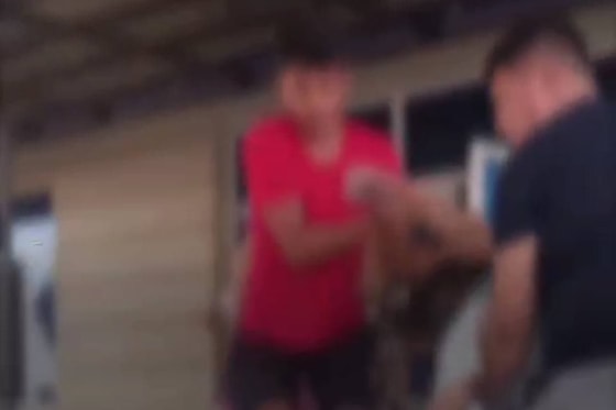 Фото: Скриншот из видео