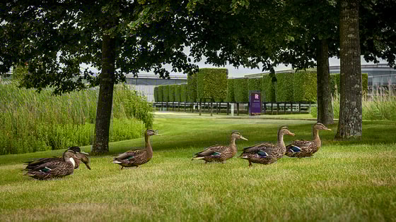 Фото: speedme.ru