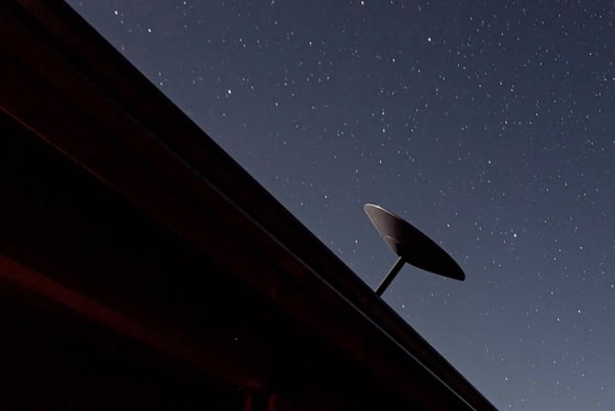 Фото: открытые источники