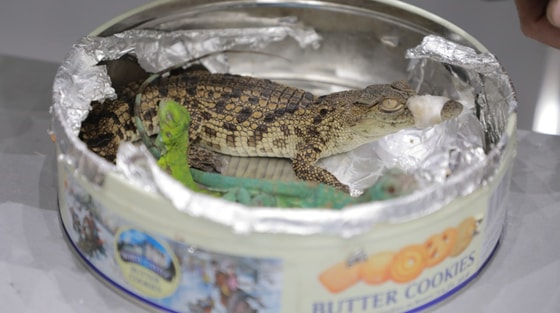 Foto: Davlat bojxona qo'mitasi matbuot xizmati