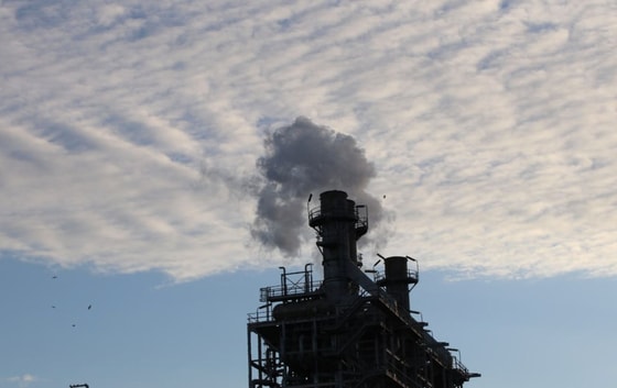 Фото: Открытые источники