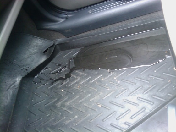 Фото: Iqotvet.ru