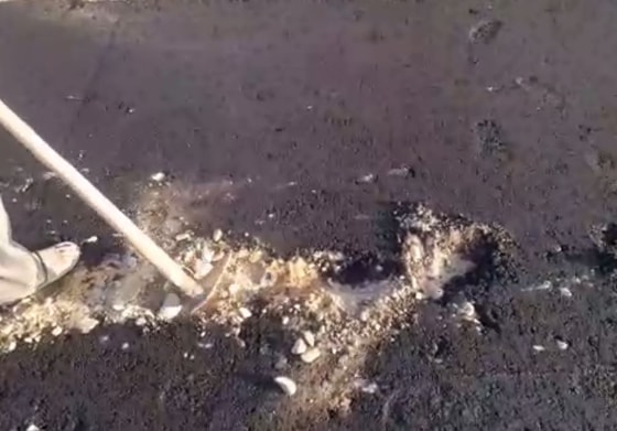 Кадр из видео