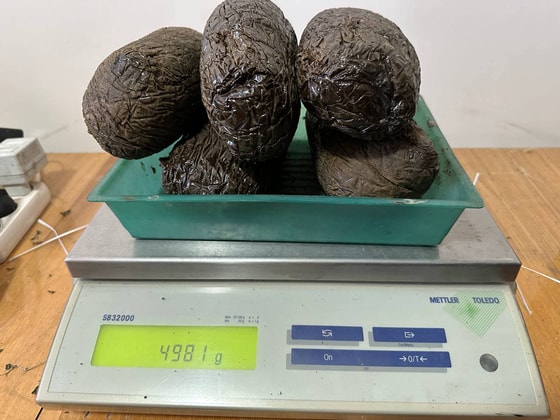 Фото: t.me/fargonabojxonaboshqarmasi