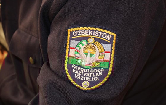 Фото: Открытые источники