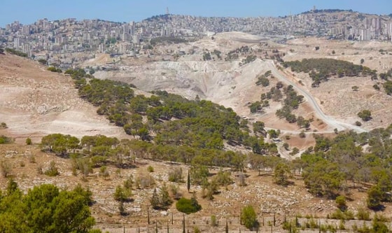 Фото: Синьхуа