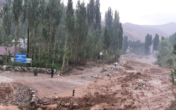 Фото: Пресс-служба областного хокимията