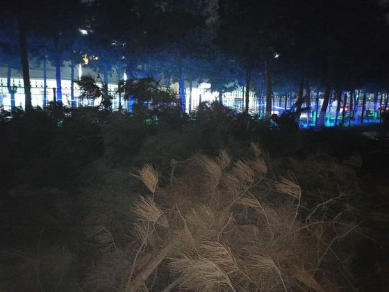 Фото: t.me/shokirjonov