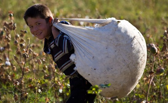 Фото: flickr.com