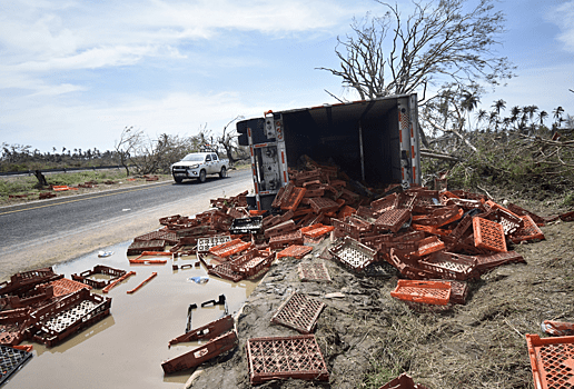 Фото: Global Look Press