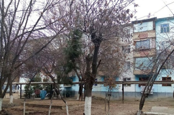 Фото: новости Кашкадарьи&nbsp;