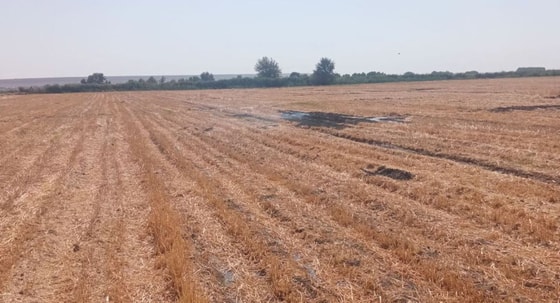 Фото: Минэкологии