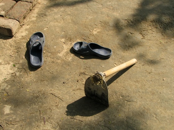 Фото: stolica-s.su