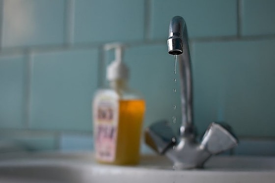 Фото: kaliningrad.kp.ru