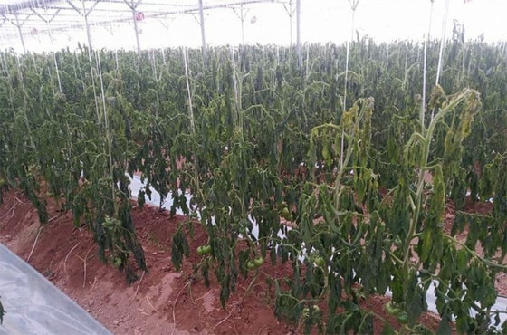 Фото: Kun.uz&nbsp;