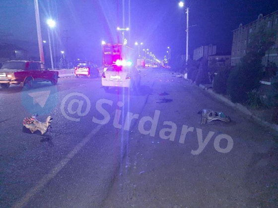 Фото: Sirdaryo Xabarlari